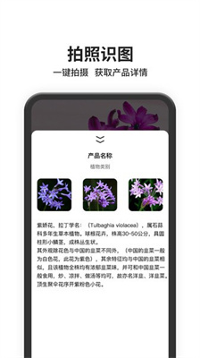 圖片搜索 v1.0.0 0