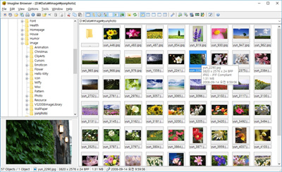 Imagine V1.1.0.0 1