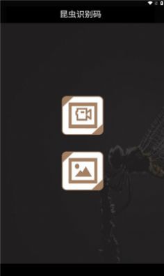 昆蟲識別碼 v1.3 1
