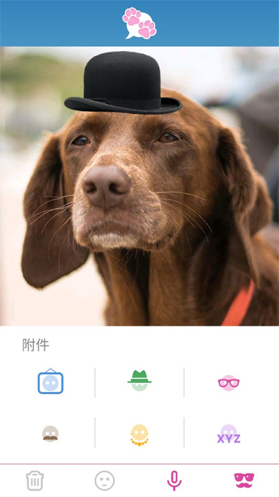 我的寵物會說話 v8.3.13 最新版 1