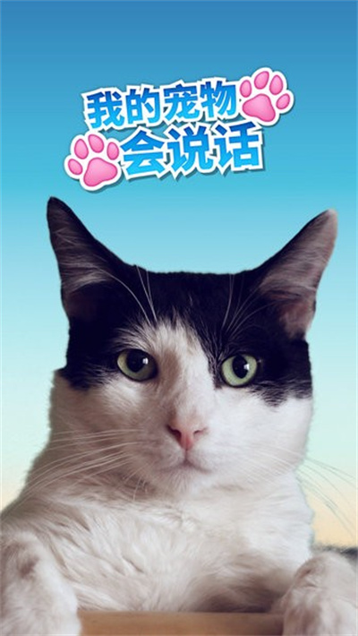 我的寵物會說話 v8.3.13 最新版 3