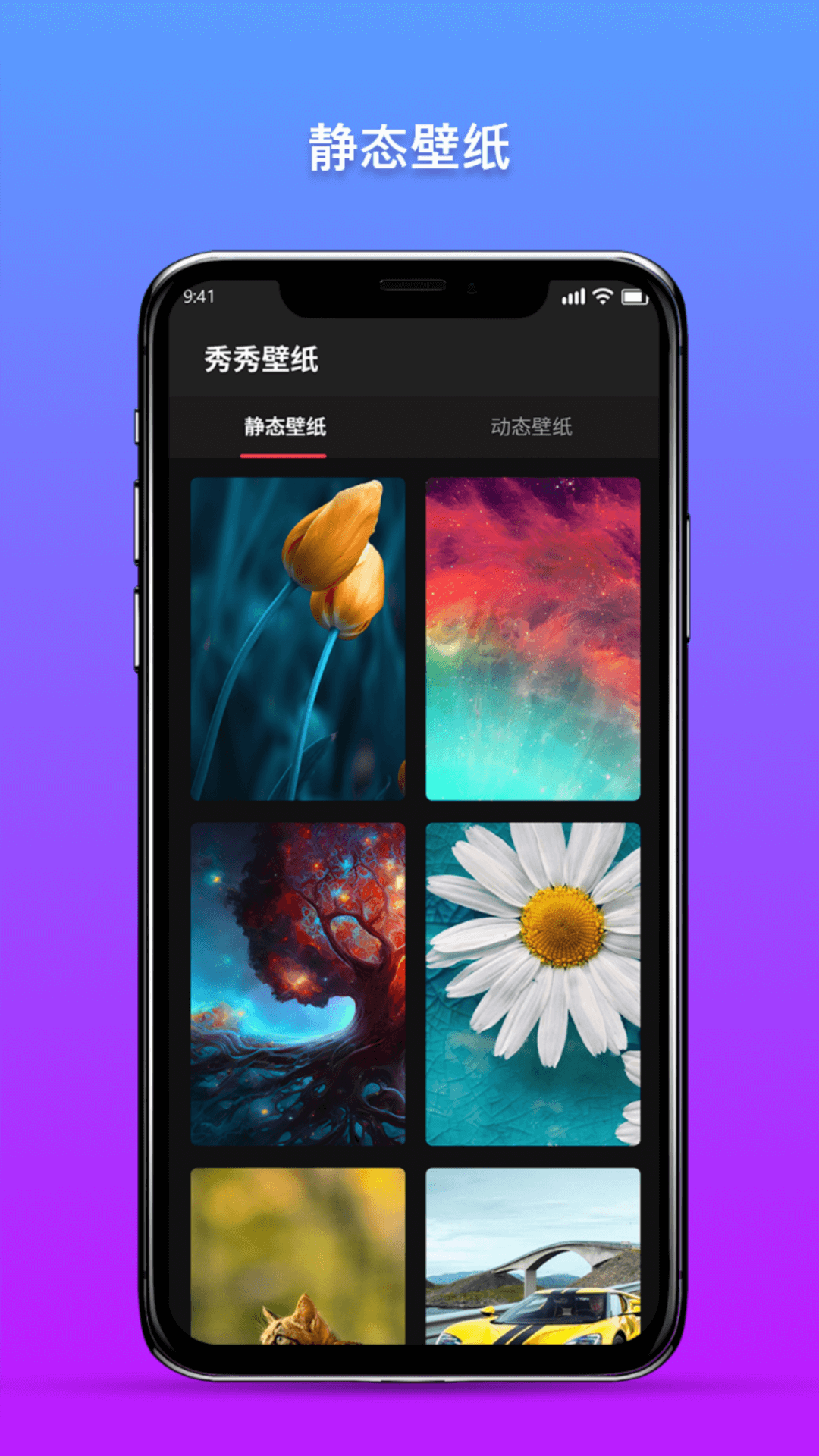 秀秀壁紙 v1.0.0 1