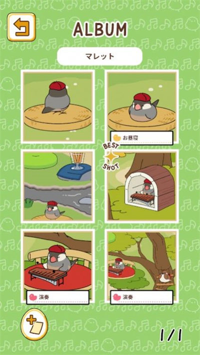 小鳥(niǎo)音樂(lè)會(huì) v1.0.2 1