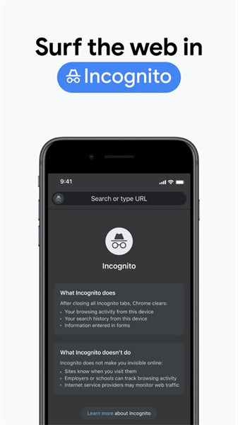 谷歌瀏覽器iphone版 v131.0.6778.103 官方蘋果版 4
