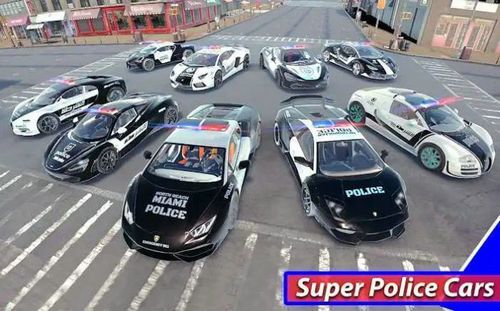 超級警車駕駛模擬器3D v1.2 1