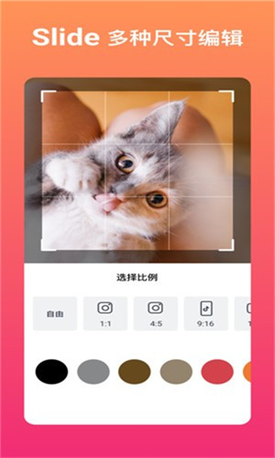 SlidePlus v3.12.0 1