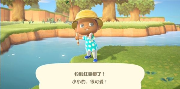 動(dòng)物之森口袋露營(yíng)國(guó)服版 v5.3.2 安卓中文版 4
