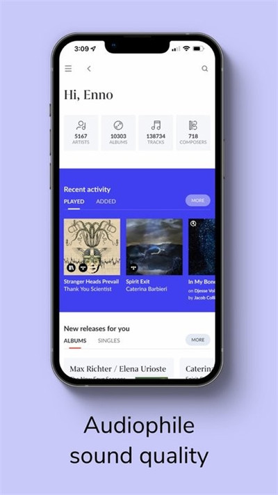 roon播放器 v2.0 0