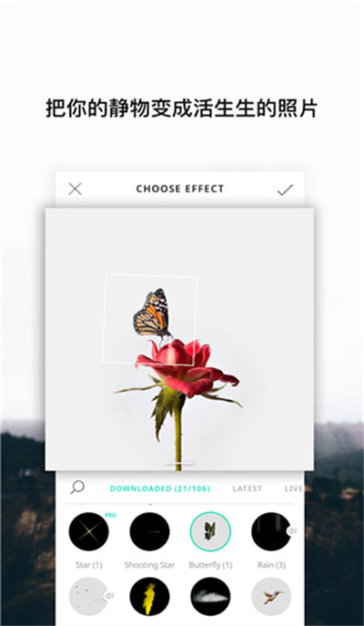 Vimage v3.3.2.0 1