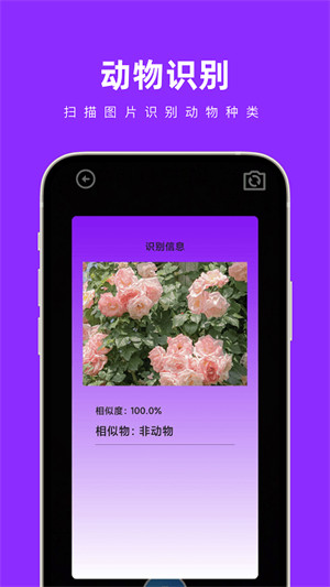 奇妙掃掃箱 v1.0.2 1