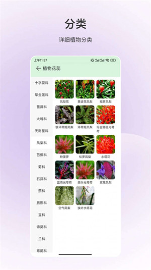 動物識別 v3.5.1 2