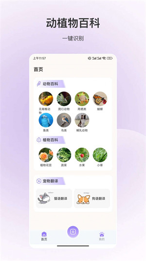 動物識別 v3.5.1 3