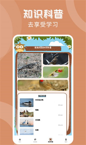 孤獨的鳥治愈你 v1.3 安卓版 3