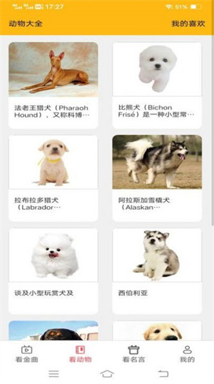 金牌聚看 v1.6.8 安卓版 1