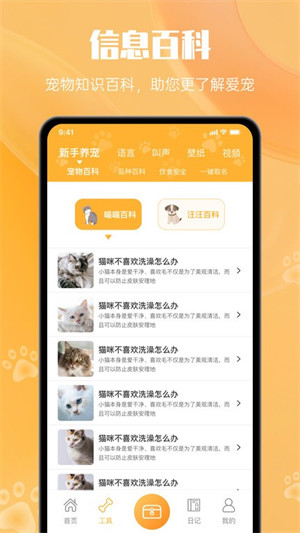 網喵 v1.0.1 安卓版 1
