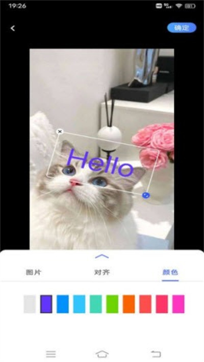 小豬翻譯器 v1.0.1 手機(jī)版 2