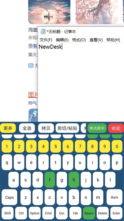 NewDesk遠(yuǎn)程控制 v5.8.5.32 最新版 1