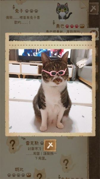 貓咪和秘密森林 v1.8.13 安卓版 2