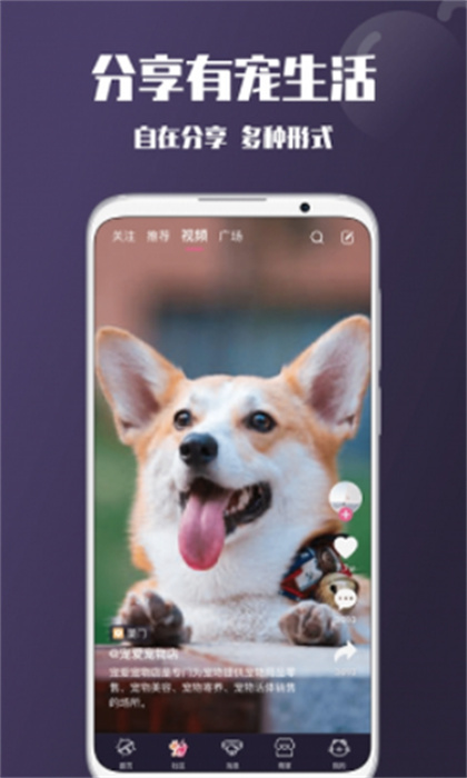 憨憨 v1.0.0 手機(jī)版 2