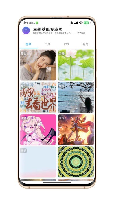 主題壁紙專業(yè)版 v1.0.0 安卓版 0