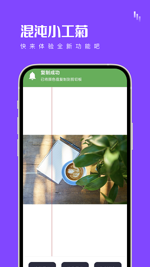 混沌小工菊 v1.0.0 最新版 0