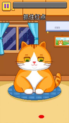 貓貓來(lái)了 v1.0 安卓版 1
