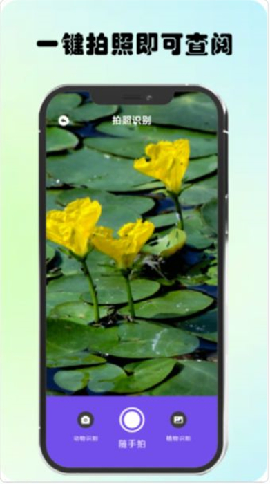 萬物識圖高手 v1.1 安卓版 1