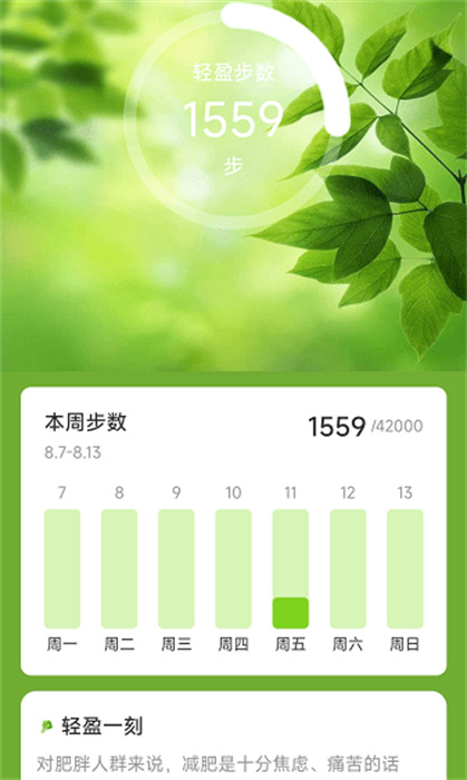 輕盈計(jì)步 v2.0.1 手機(jī)版 0