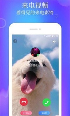 閃閃動態(tài)壁紙主題 v1.2.8 安卓版 1