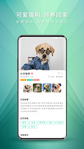 麥道最新版 v2.5.9 安卓版 1