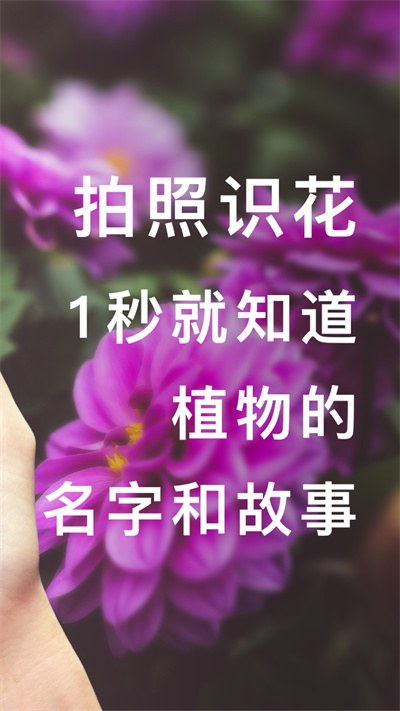 形色拍照識別花和植物3
