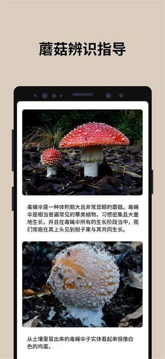 蘑菇識(shí)別 v2.9.20 安卓版 1