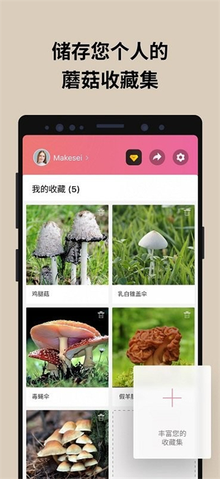 蘑菇識(shí)別 v2.9.20 安卓版 3