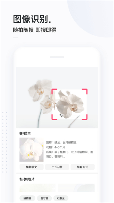 簡(jiǎn)單搜索沖頂神器 v3.10.2 安卓版 3
