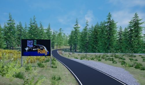 這就是拉力 v1.0 安卓版 2