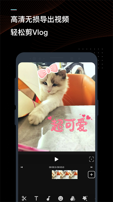 迅捷視頻轉換器2