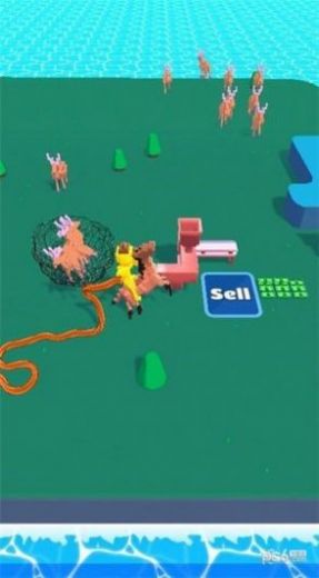 動(dòng)物捕獲 v1.0 最新版 1