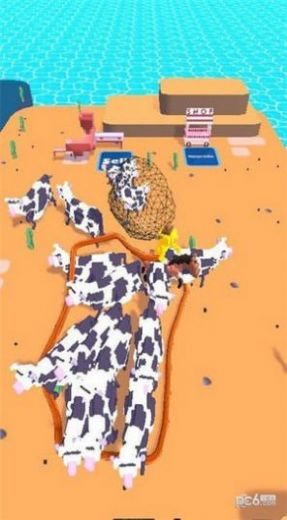 動(dòng)物捕獲 v1.0 最新版 2