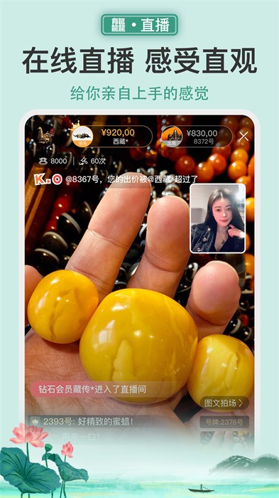 龘藏手機(jī)版(藝術(shù)品拍賣(mài))0