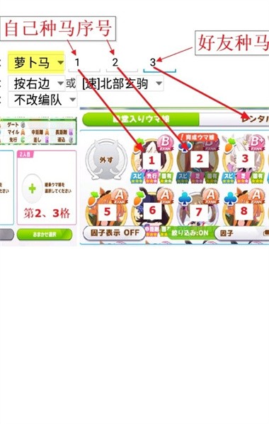 馬娘助手 v173.0 0