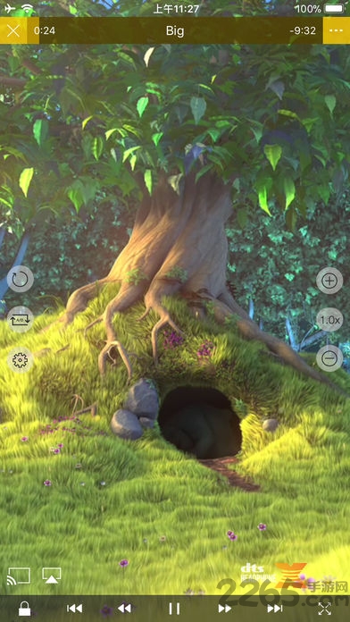 nplayer手機(jī)版 v1.8.0.5 最新版 3