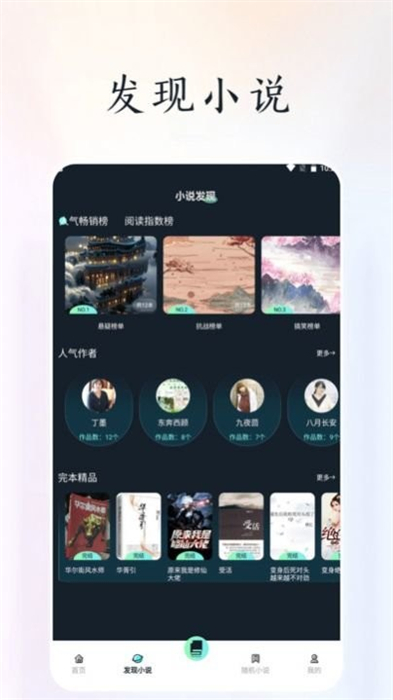 天空閱讀器 v1.2 安卓版 2