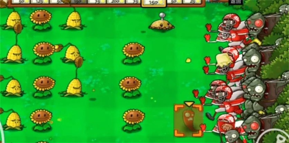 植物大戰(zhàn)僵尸WYZ v1.1.0 1