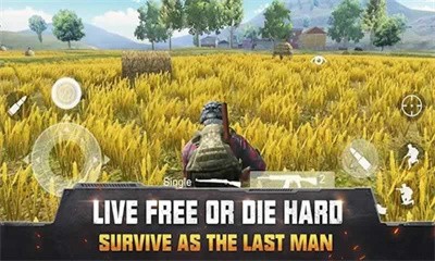 生存小隊聯(lián)機(jī)版 v1.0.11 安卓版 2
