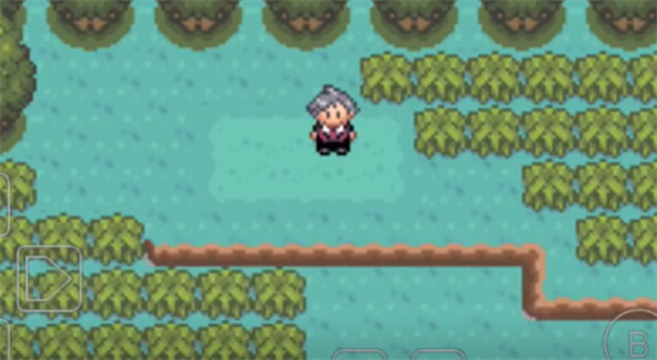 口袋妖怪冠軍的旅程 v1.0 安卓版 0