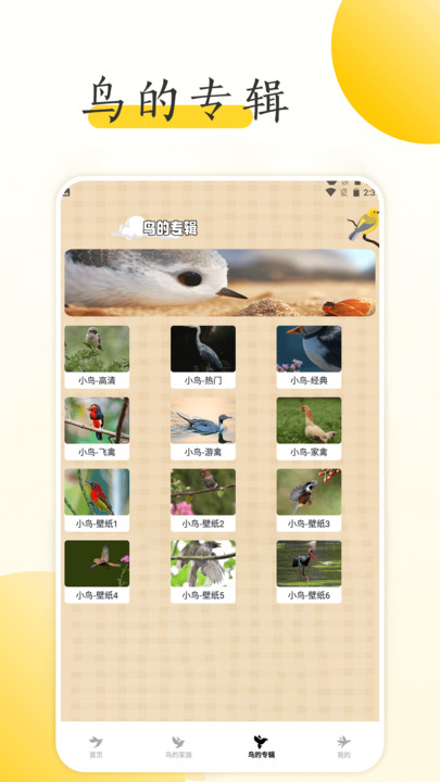 小鳥壁紙大全 v1.2 安卓版 0