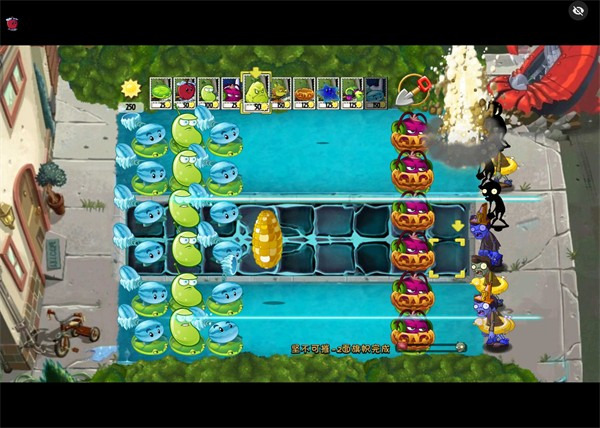 植物大戰(zhàn)僵尸綻放時(shí)空版 v1.5 0