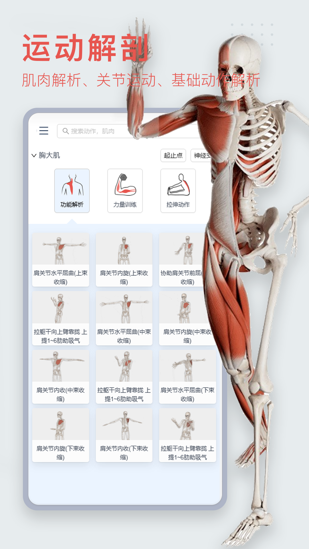 3Dbody解剖免費(fèi)ios版 v8.7.70 iphone官方版 0