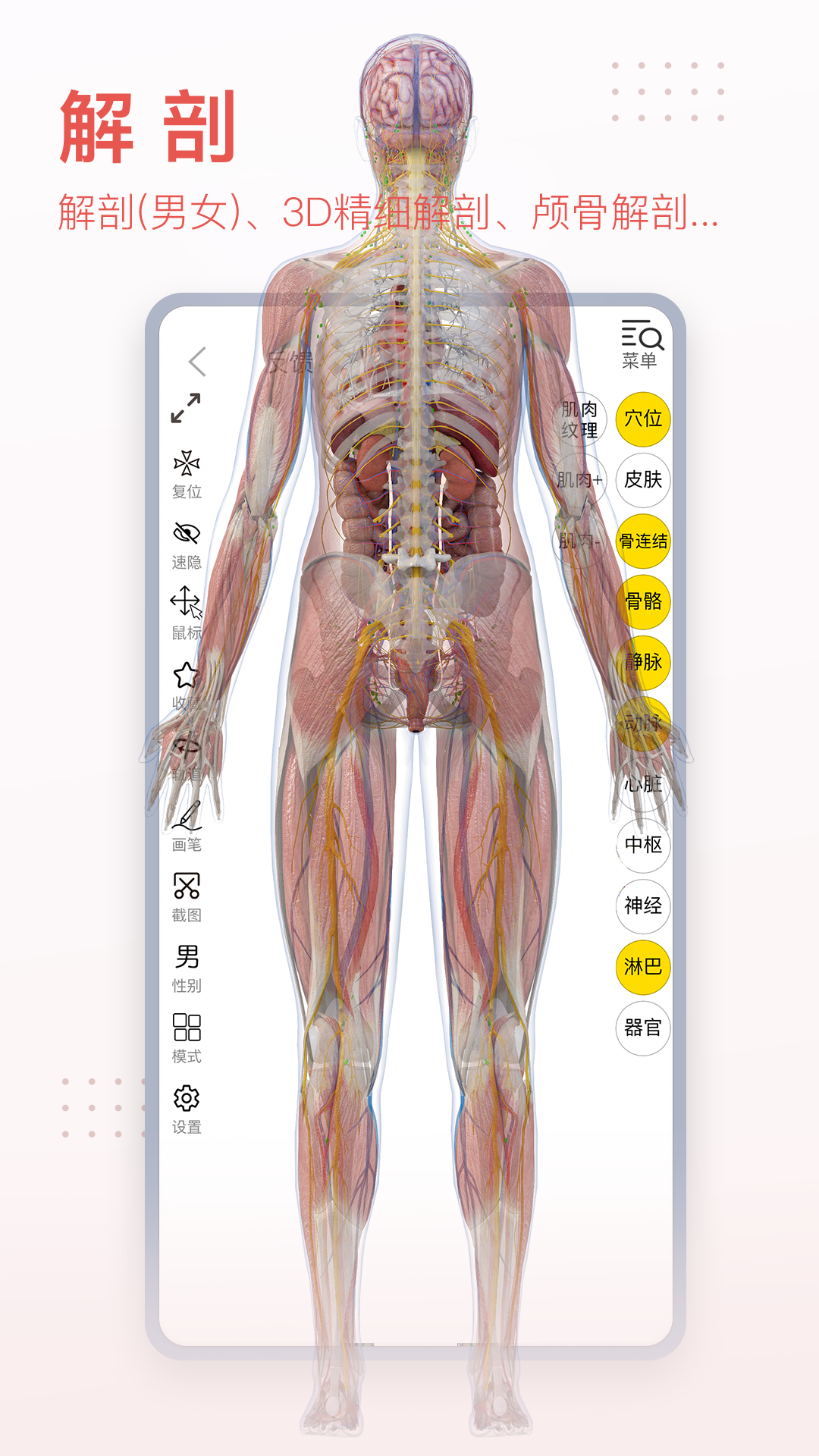 3Dbody解剖免費(fèi)ios版 v8.7.70 iphone官方版 2
