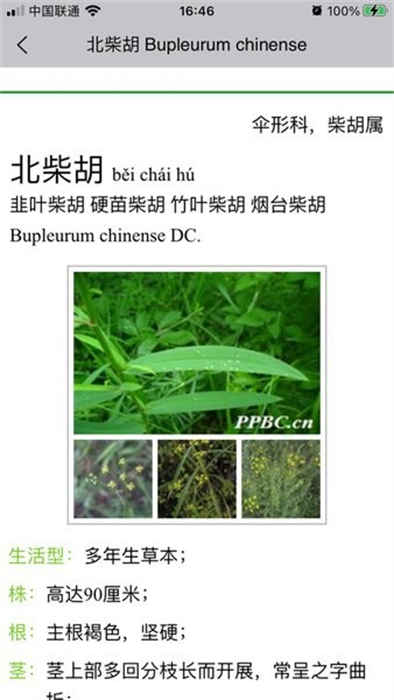 曉草 v2.1.2 安卓版 0